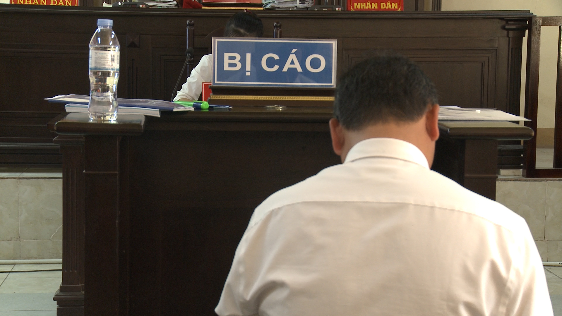 Tòa trả hồ sơ vụ án Hủy hoại rừng để làm rõ thẩm quyền của Trung tâm Tư vấn và Phát triển lâm nghiệp 