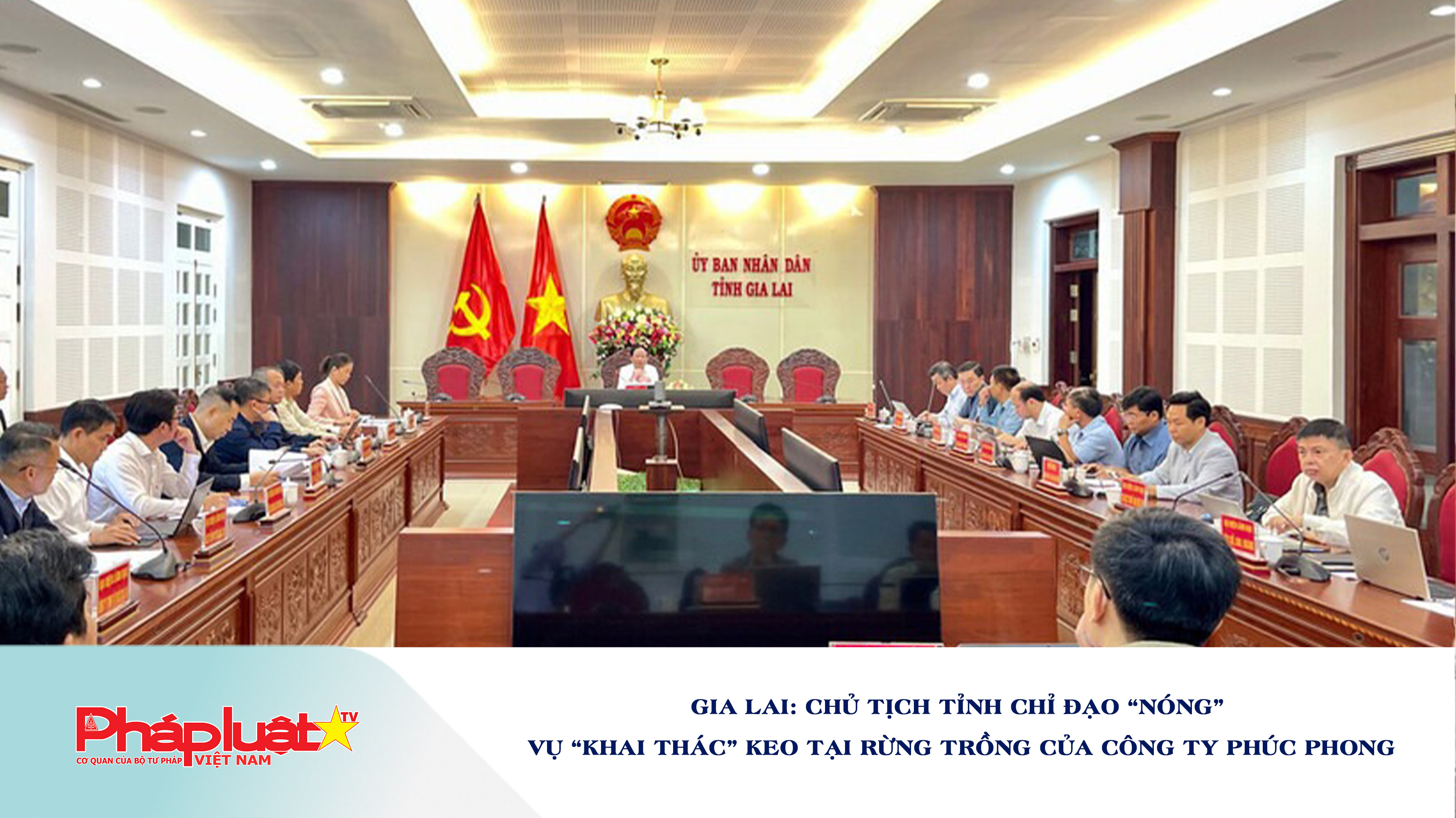 Gia Lai: Chủ tịch tỉnh chỉ đạo “nóng” vụ “khai thác” keo tại rừng trồng của Công ty Phúc Phong