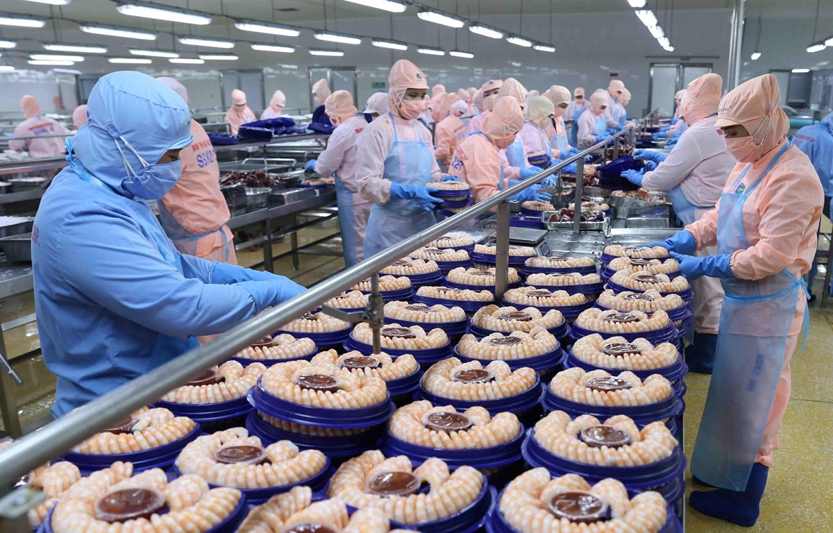 BizNews ngày 17/9/2025: Bộ Công Thương lên tiếng trước nguy cơ Hoa Kỳ có thể dừng nhập khẩu một số loại thủy sản