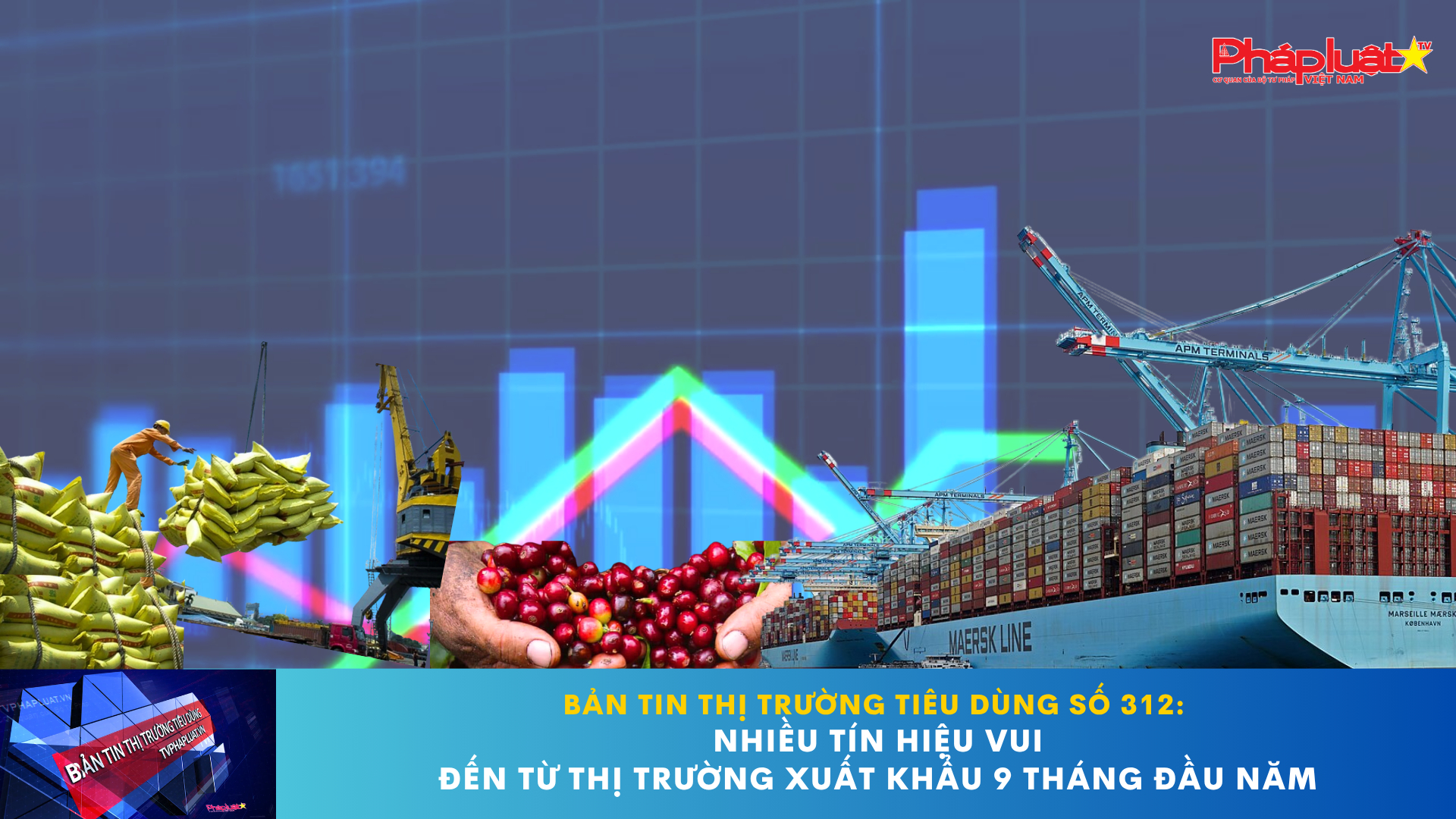 Bản tin Thị trường Tiêu dùng số 312: Nhiều tín hiệu vui đến từ thị trường xuất khẩu 9 tháng đầu năm