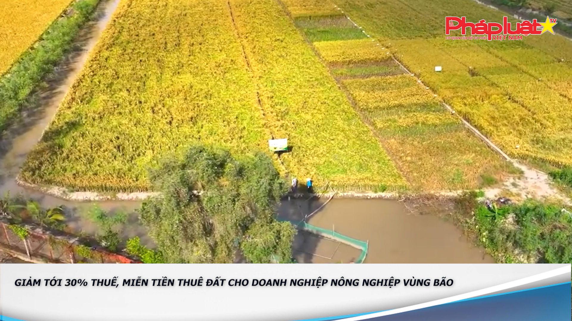 Bản tin Môi trường Pháp luật (ngày 16/10/2025): Giảm tới 30% thuế, miễn tiền thuê đất cho doanh nghiệp nông nghiệp vùng bão