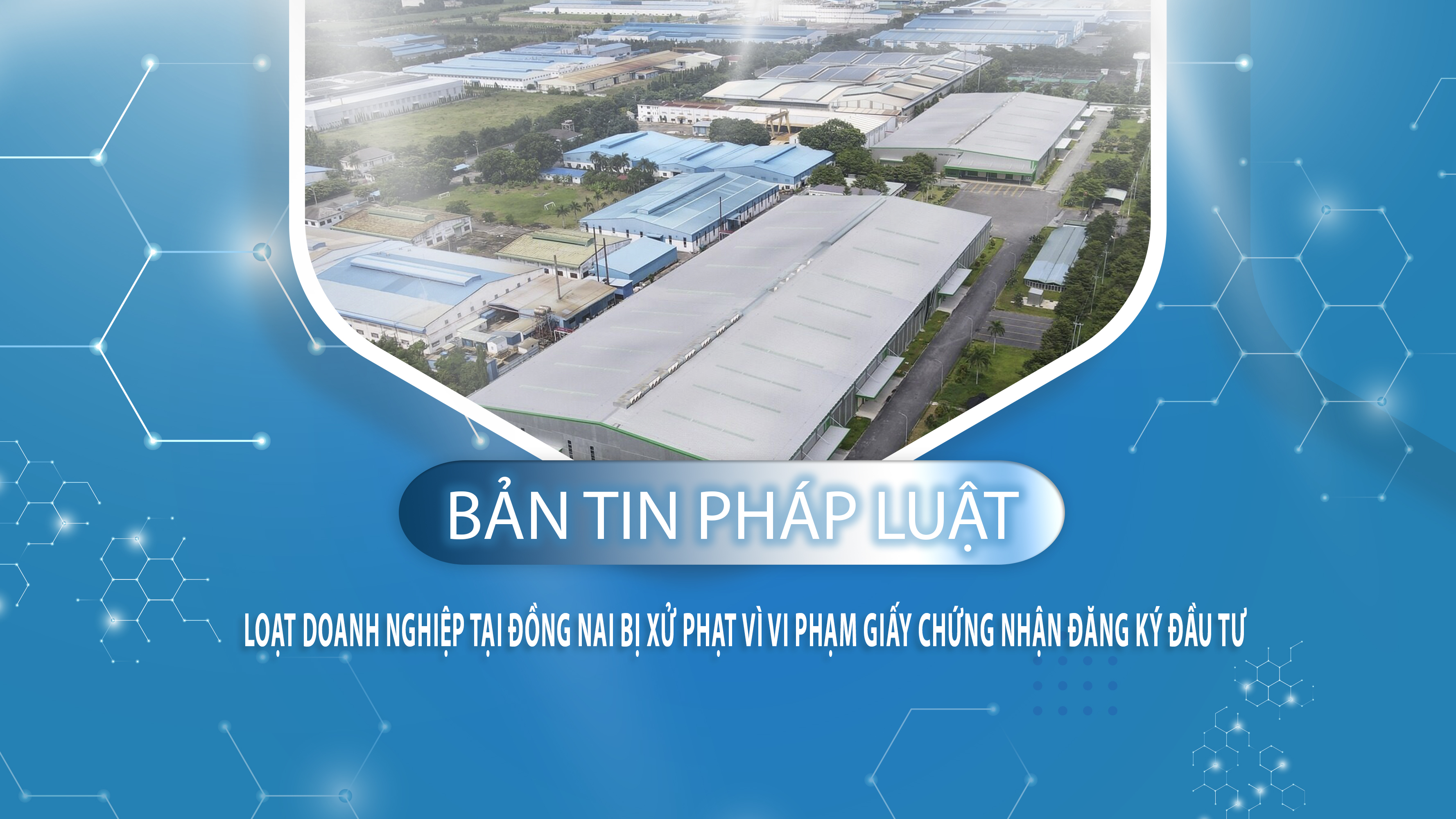 Bản tin Pháp luật (ngày 24/01/2026): Loạt doanh nghiệp tại Đồng Nai bị xử phạt vì vi phạm Giấy chứng nhận đăng ký đầu tư