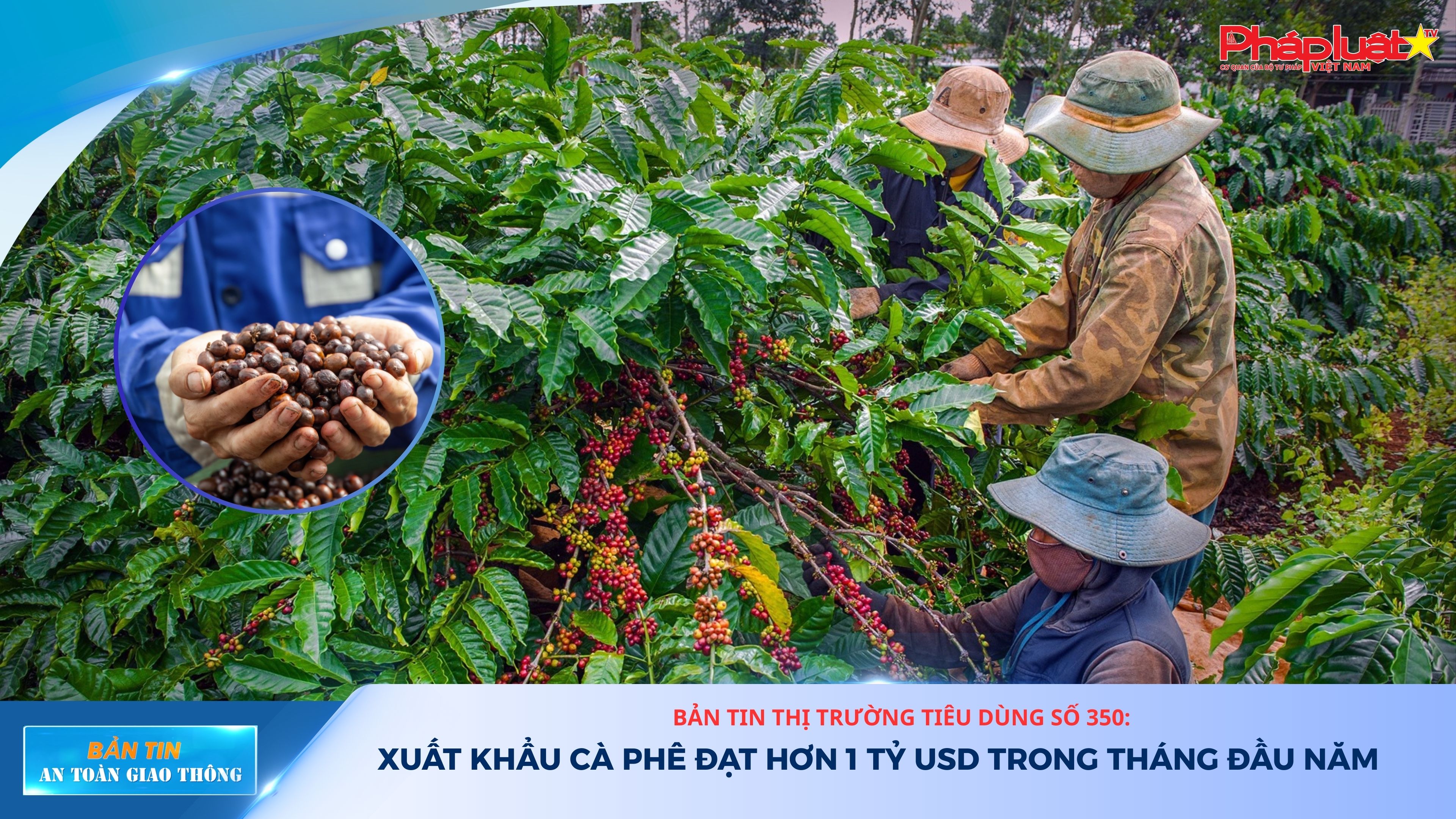 Bản tin Thị trường Tiêu dùng số 350: Xuất khẩu cà phê đạt hơn 1 tỷ USD trong tháng đầu năm

